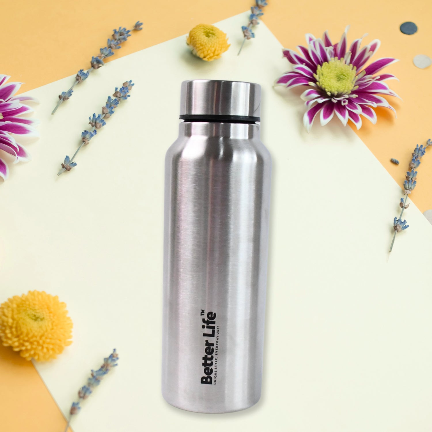 Stainless Steel Double Wall Vacuum-insulated Drink Water Bottle (750 Ml)